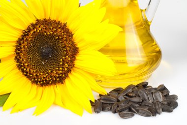 Sunflower seed oil clipart