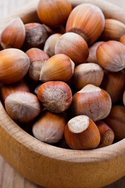 stock image Hazelnuts