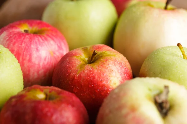 stock image Apples crop
