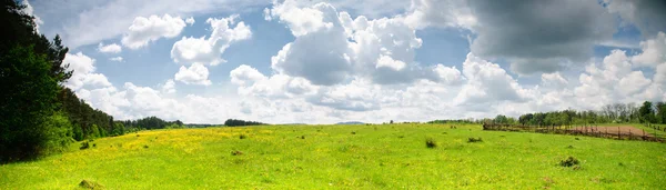 Meadow wide view — Stock Photo, Image