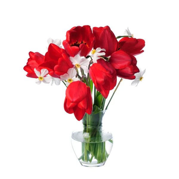 Red tulips and white narcissuses in vase — Stock Photo, Image