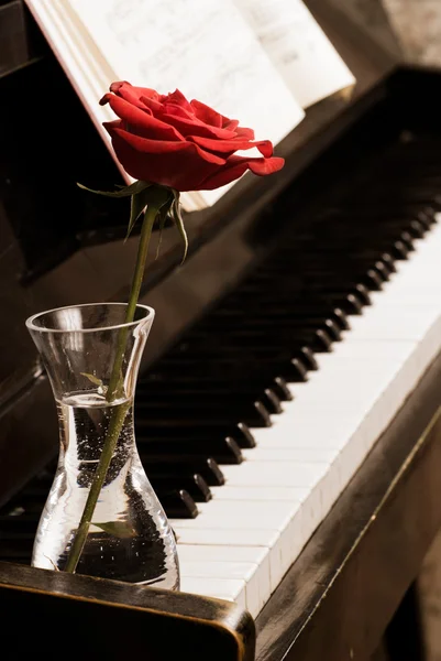 钢琴键盘和玫瑰 — 图库照片