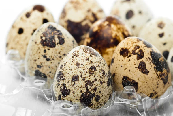 Quail's Eggs — Stock Photo, Image