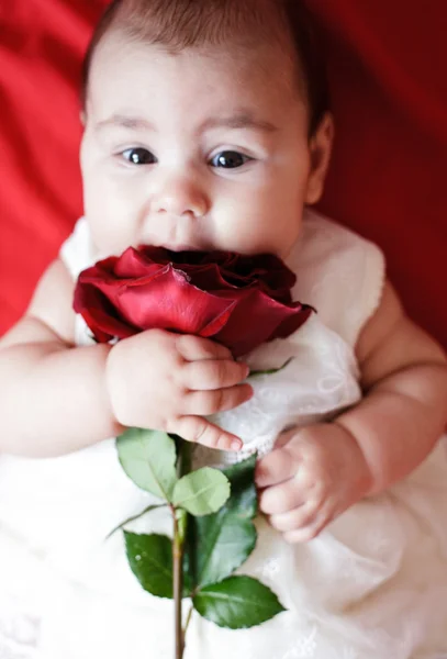 Niedliches Mädchen mit roter Rose — Stockfoto