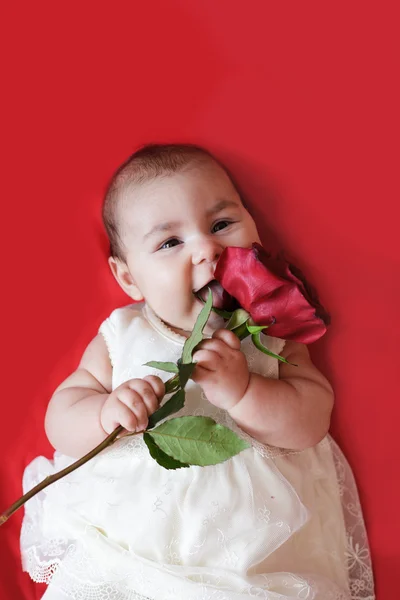 Милая девушка с красной розой — стоковое фото
