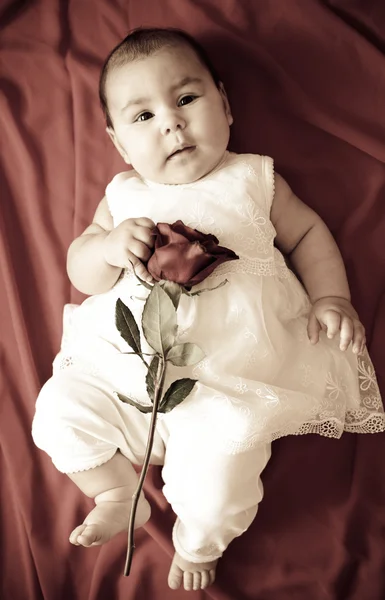 Menina bonito com rosa vermelha — Fotografia de Stock