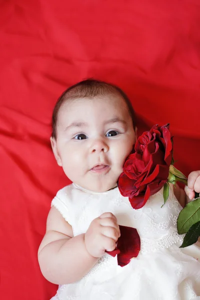 Jolie fille avec rose rouge — Photo