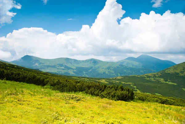 Carpathian mountains — Stock Photo, Image
