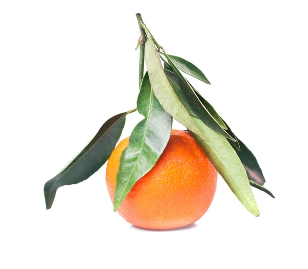 Tangerine isolated on white — Stock Photo, Image