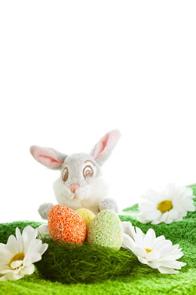 Divertido conejo de Pascua —  Fotos de Stock