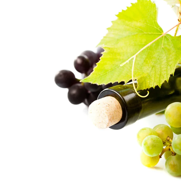 Şarap ve üzüm izole — Stok fotoğraf