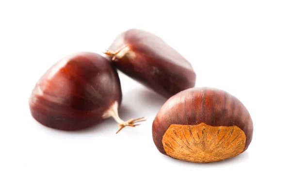 Chestnuts isolated — Stock Photo, Image