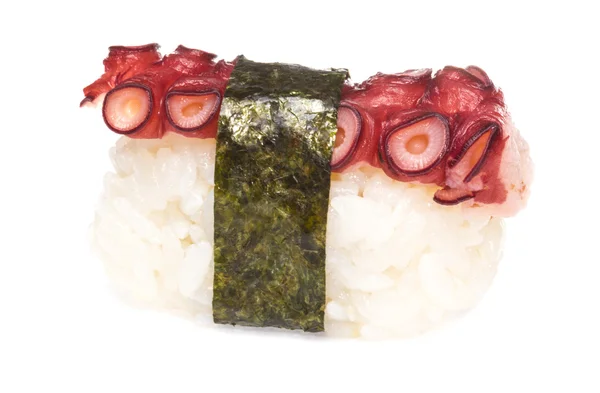 Японський суші з м'ясо восьминога на білому фоні — стокове фото