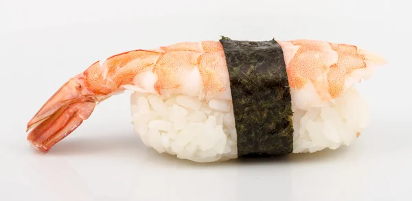 虾寿司特写镜头，白色背景隔离 — 图库照片