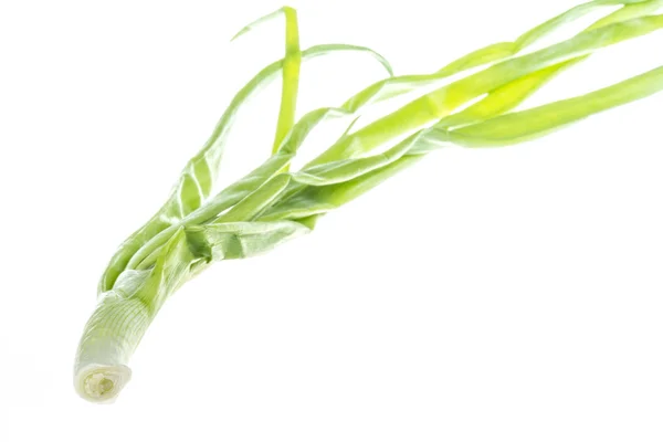 Zielonej cebuli na białym tle — Zdjęcie stockowe