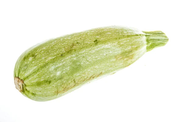 Single Courgette or zucchini from low perspective isolated on wh — Stock Photo, Image