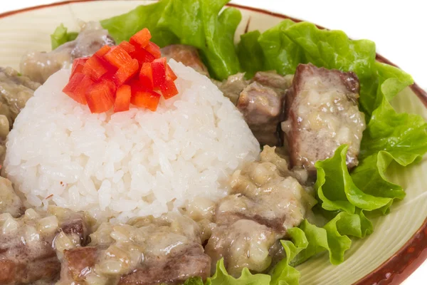 쌀 과 돼지고기 일본 요리 — 스톡 사진