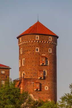 wawel, krarow yılında Royal castle