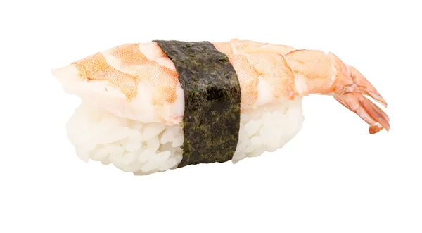 Sushi krewetki zbliżenie izolowane na białym tle — Zdjęcie stockowe