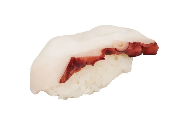 Sushi japonês com polvo de carne em um fundo branco — Fotografia de Stock