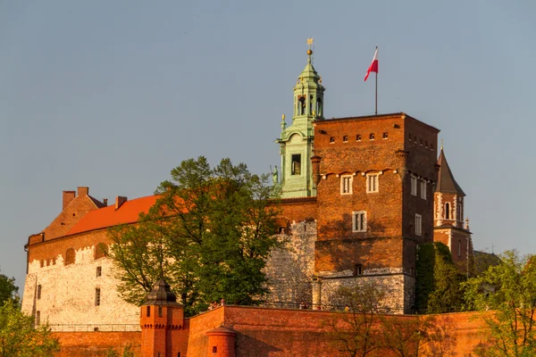Королівський замок Вавель, Krarow — стокове фото