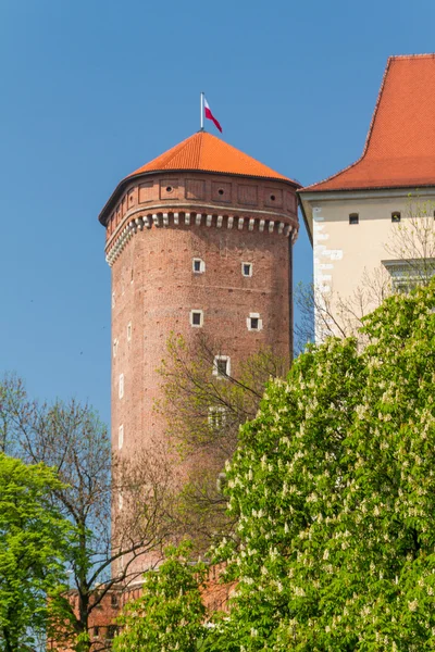 Zamek Królewski na Wawelu, Kraków — Zdjęcie stockowe