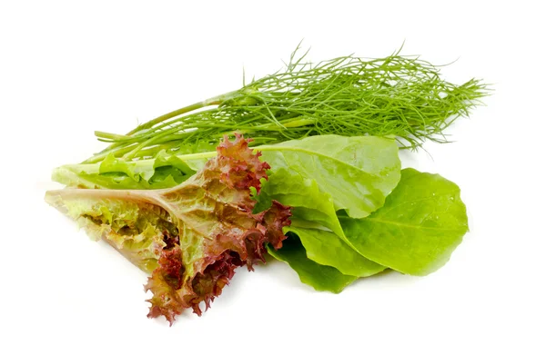 Folhas de salada e endro — Fotografia de Stock
