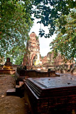 Buda heykeli - ayuthaya, Tayland