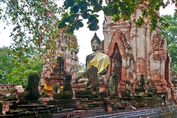Statua del Buddha Ayuthaya, Thailandia — Foto Stock