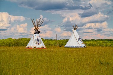 Çam ormanları (portre o arasında bir çayırda Hint bir teepee kurmak