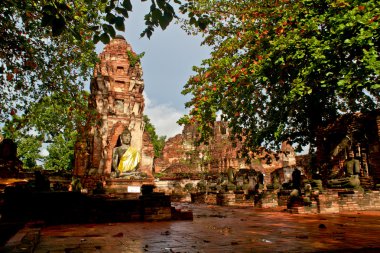 Buda heykeli - ayuthaya, Tayland