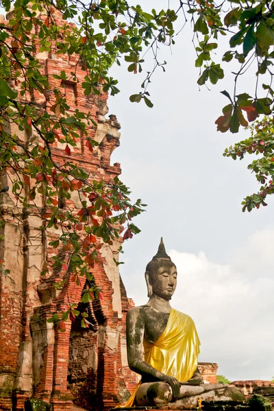 Estatua de Buda - Ayuthaya, Tailandia —  Fotos de Stock