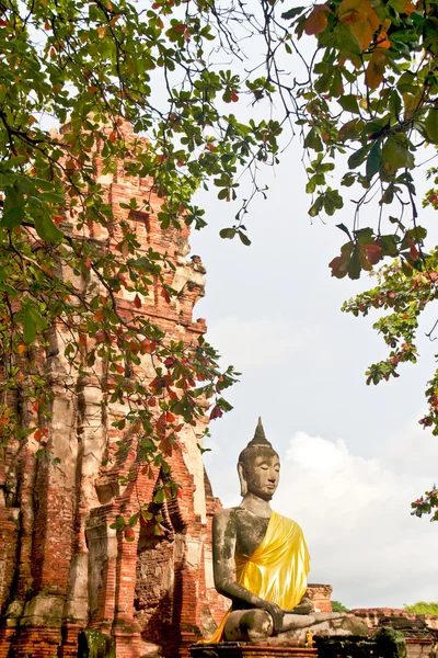Статуя Будды - Аютхая, Таиланд — стоковое фото