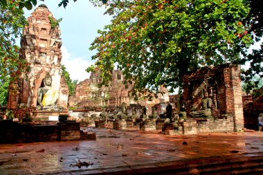 Buda heykeli - ayuthaya, Tayland