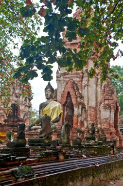 Buda heykeli - ayuthaya, Tayland