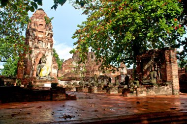 Buda heykeli - ayuthaya, Tayland