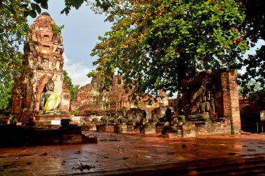 Buda heykeli - ayuthaya, Tayland