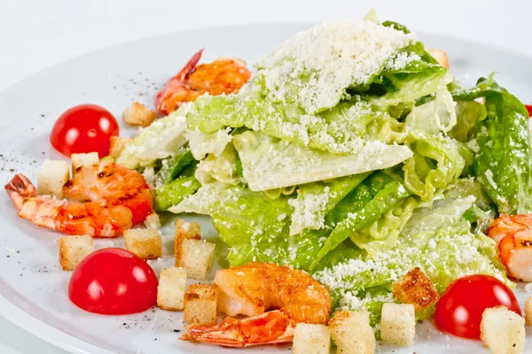 stock image Caesar Salad with shrimps