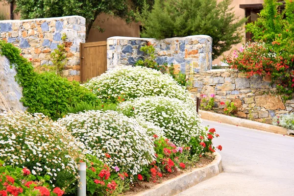Mooie tuin met bloemen en groen gazon — Stockfoto