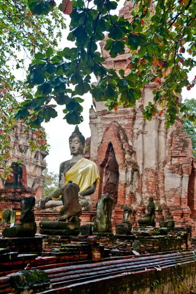 Buddha-Statue - Ayuthaya, Thailand — Stockfoto