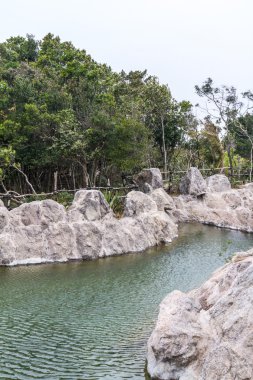 Çin orman, hainan Adası