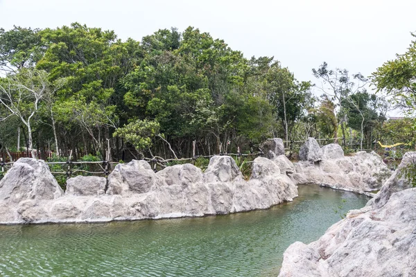 Jungle chinoise, île de Hainan — Photo