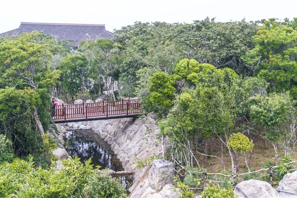 海南島、中国のジャングル — ストック写真