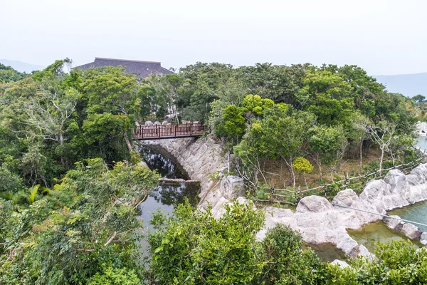 Chinesischer Dschungel, Insel Hainan — Stockfoto