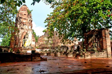 Buda heykeli - ayuthaya, Tayland