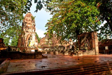 Buda heykeli - ayuthaya, Tayland