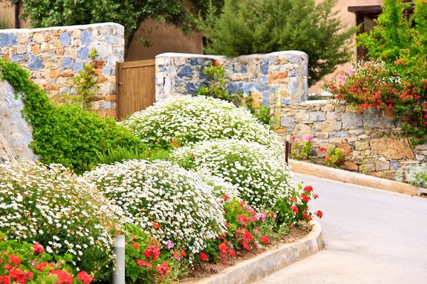 Stock image Nice garden with flowers and green lawn