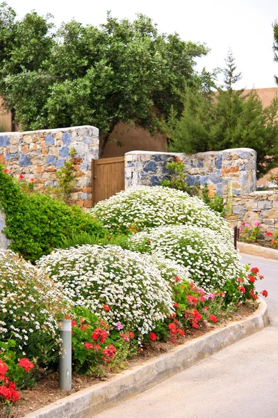 Bel giardino con fiori e prato verde — Foto Stock