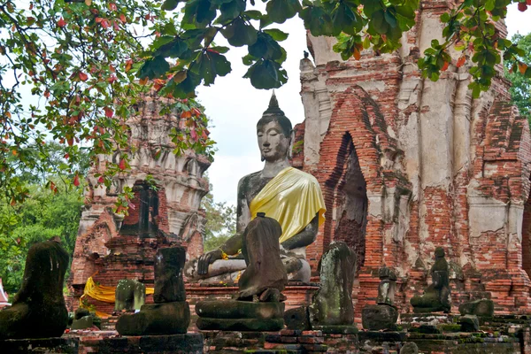 Άγαλμα του Βούδα - ayuthaya, Ταϊλάνδη — Φωτογραφία Αρχείου