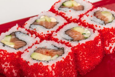 tobiko baharatlı maki sushi - sıcak rulo tobiko çeşitli tip (